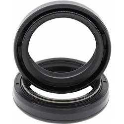 Fork Bushings and Seals Kit