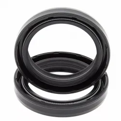 Fork Bushings and Seals Kit
