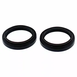 Fork Bushings and Seals Kit