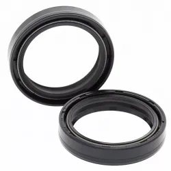 Fork Oil Seal Kit