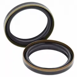Fork Oil Seal Kit
