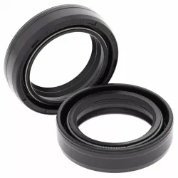 Fork Oil Seal Kit