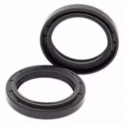 Fork Oil Seal Kit