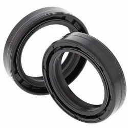 Fork Oil Seal Kit