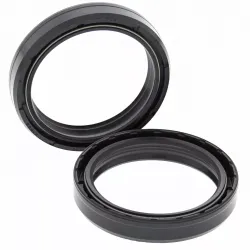 Fork Oil Seal Kit