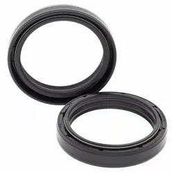 Fork Oil Seal Kit