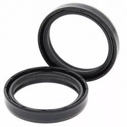 Fork Oil Seal Kit