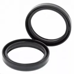 Fork Oil Seal Kit