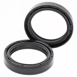 Fork Oil Seal Kit