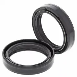 Fork Oil Seal Kit