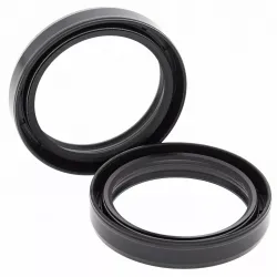 Fork Oil Seal Kit