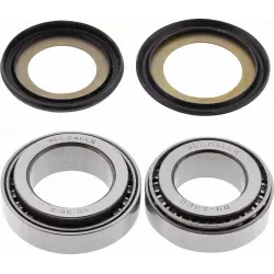 Steering Stem Bearing Kit