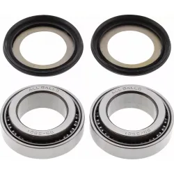 Steering Stem Bearing Kit