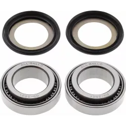 Steering Stem Bearing Kit