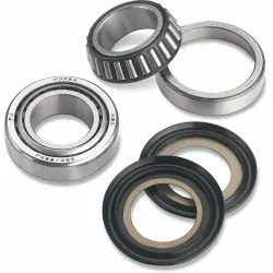 Steering Stem Bearing Kit