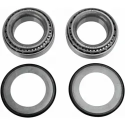 Steering Stem Bearing Kit