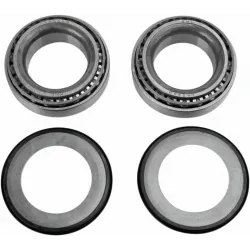 Steering Stem Bearing Kit