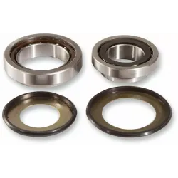 Steering Stem Bearing Kit