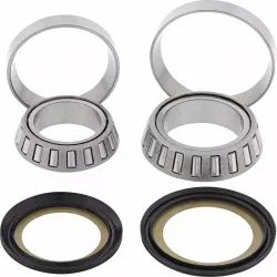 Steering Stem Bearing Kit