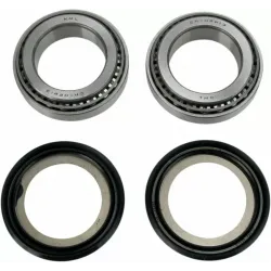 Steering Stem Bearing Kit