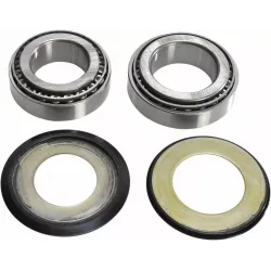 Steering Stem Bearing Kit