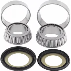 Steering Stem Bearing Kit