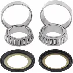 Steering Stem Bearing Kit