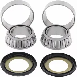 Steering Stem Bearing Kit
