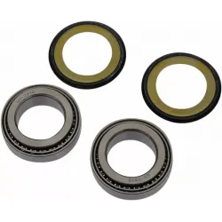 Steering Stem Bearing Kit