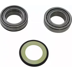 Steering Stem Tapered Roller Bearings and Seals Kit