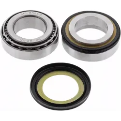 Steering Stem Tapered Roller Bearings and Seals Kit