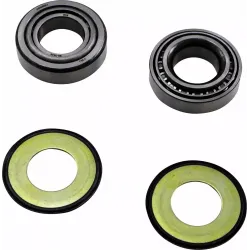 Steering Stem Tapered Roller Bearings and Seals Kit