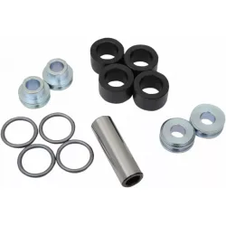 A-Arm Bearing and Seal Kit