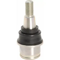 Front Suspension Ball Joint