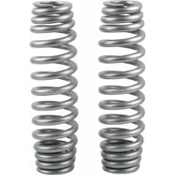 Lift Springs