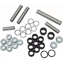 Rear Independent Suspension Linkage Rebuild Kit