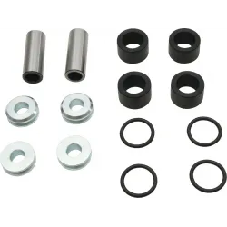 Rear Independent Suspension Linkage Rebuild Kit