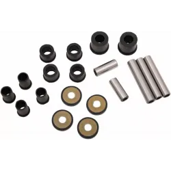 Rear Independent Suspension Linkage Rebuild Kit