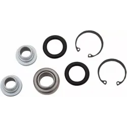 Rear Independent Suspension Linkage Rebuild Kit