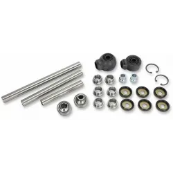Rear Independent Suspension Linkage Rebuild Kit