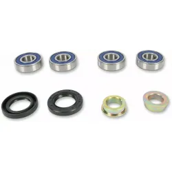 Rear Independent Suspension Linkage Rebuild Kit