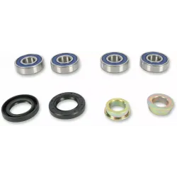 Rear Independent Suspension Linkage Rebuild Kit