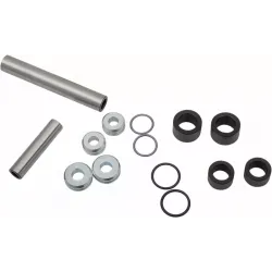 Rear Independent Suspension Linkage Rebuild Kit