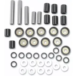 Rear Independent Suspension Linkage Rebuild Kit