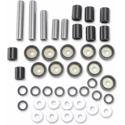 Rear Independent Suspension Linkage Rebuild Kit