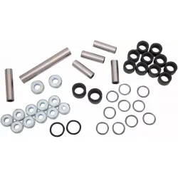 Rear Independent Suspension Linkage Rebuild Kit