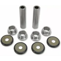 Rear Suspension Knuckle Kit