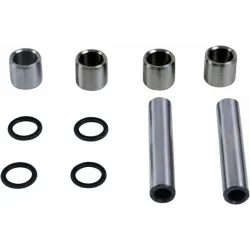 Rear Suspension Knuckle Kit