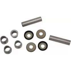 Rear Suspension Knuckle Kit