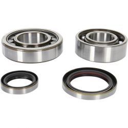 Kit rulmenti ambielaj KTM 2T 250/300 04-22 PRO-X